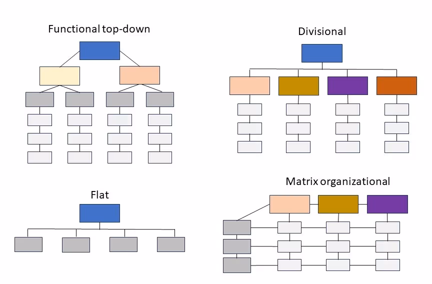 matrix organizational chart